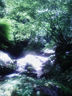 RsĂI