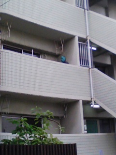 WFC\