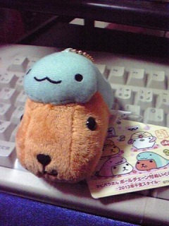 ꂽo(^-^)o